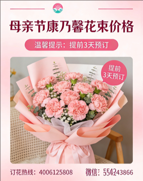 青岛即墨花店母亲节康乃馨花束
