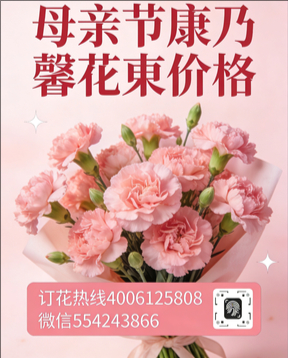 青岛即墨花店母亲节康乃馨花束